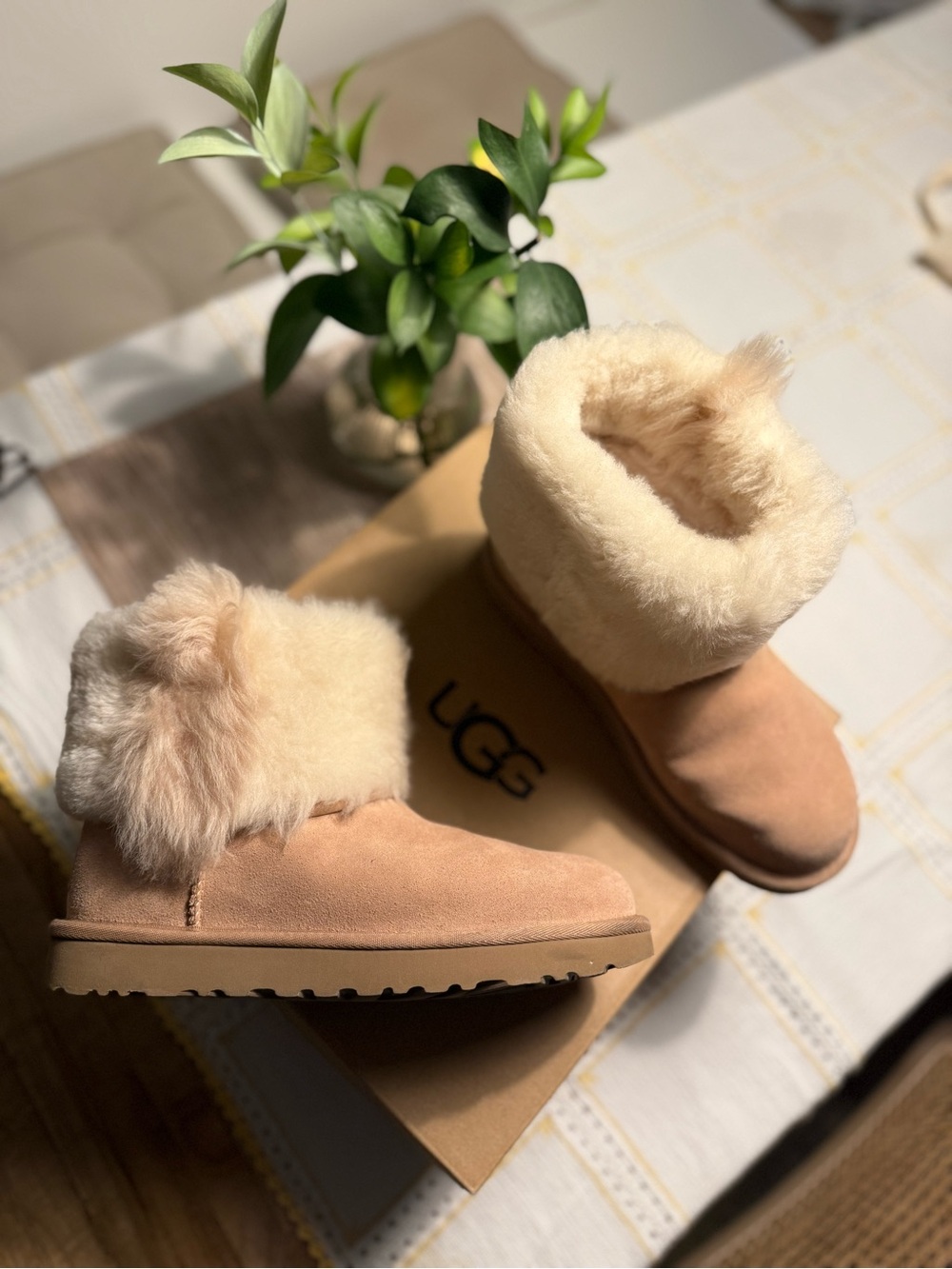 UGG Classic Mini Wisp Pink Boots โ US 7 โ Brand New in Box